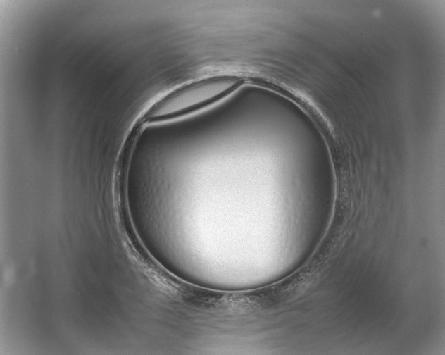 X0000064730983200602241711