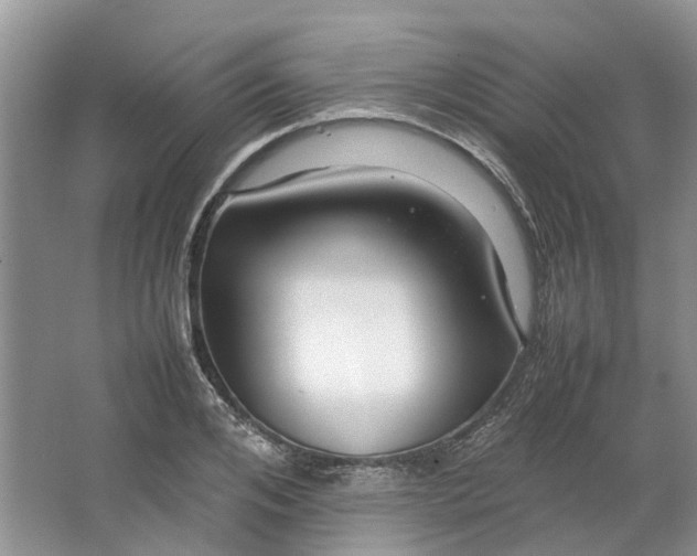 X0000064730984200602241711