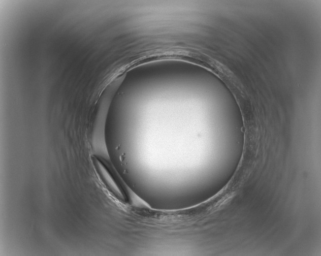 X0000064730985200602241711