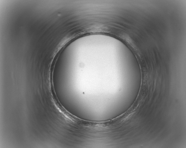 X0000064730986200602241711