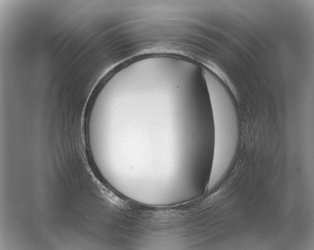 X0000064730988200602241711