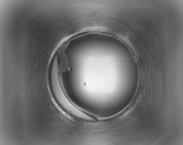 X0000064730989200602241711