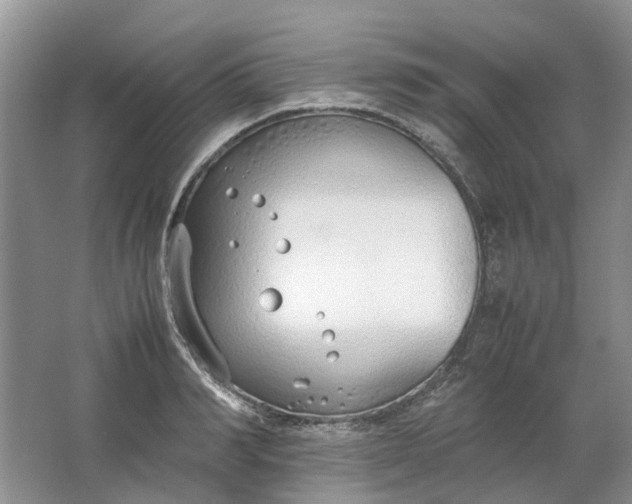 X0000064730990200602241711