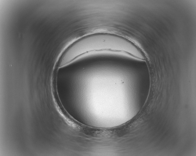 X0000064730991200602241711