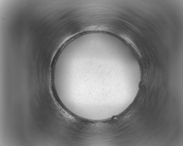 X0000064730992200602241711