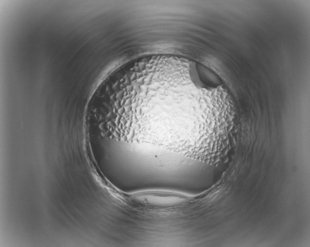 X0000064730994200602241711