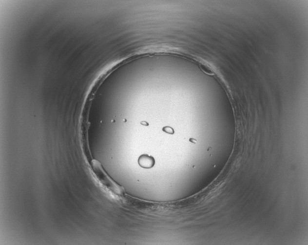 X0000064730995200602241711