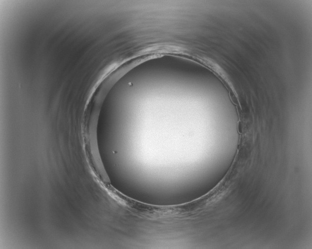 X0000064730997200602241711