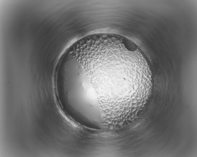 X0000064730998200602241711