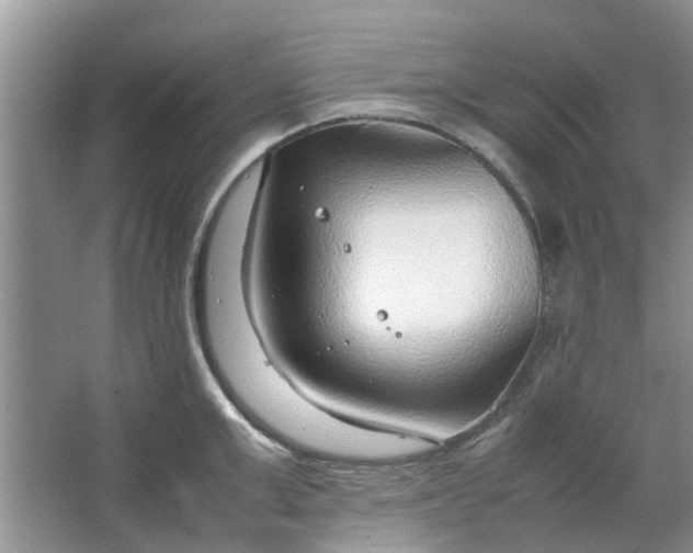 X0000064730999200602241711