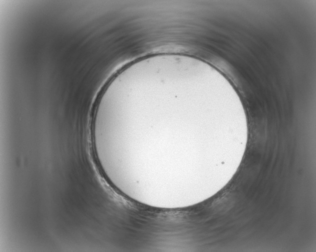 X0000064731000200602241711