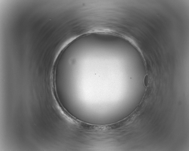 X0000064731003200602241711