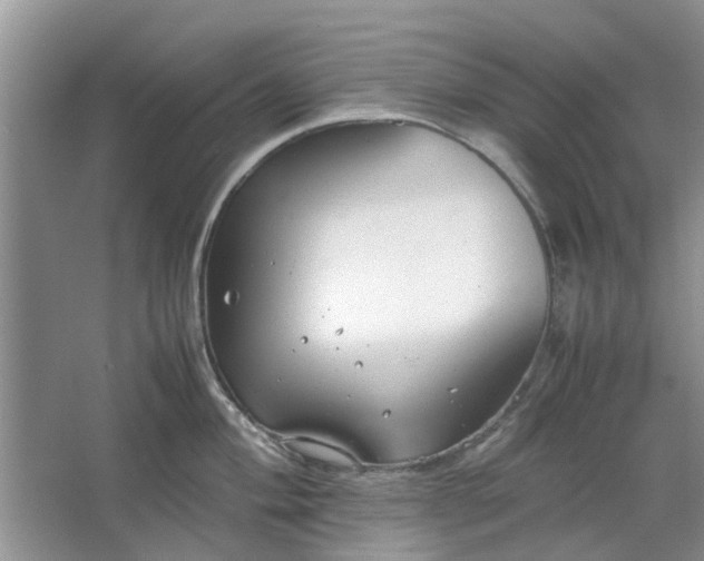 X0000064731004200602241711