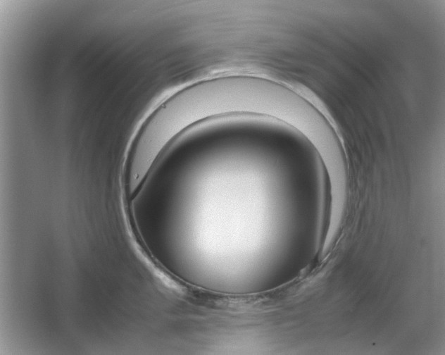 X0000064731005200602241711