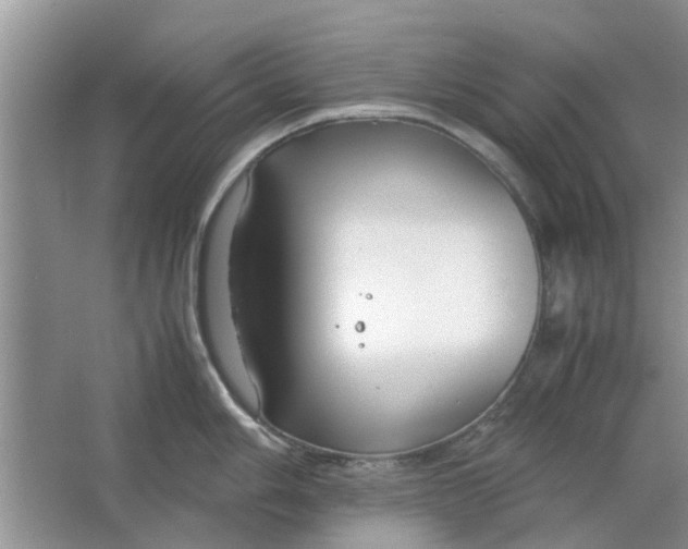 X0000064731006200602241711