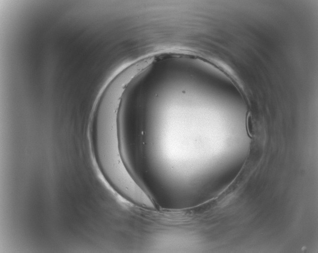 X0000064731007200602241711