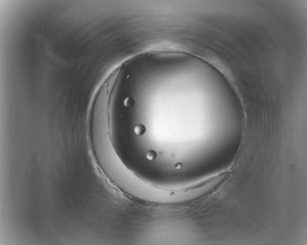 X0000064731008200602241711