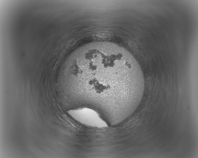 X0000064731009200602241710