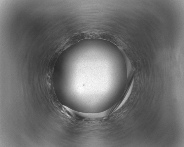 X0000064731010200602241710