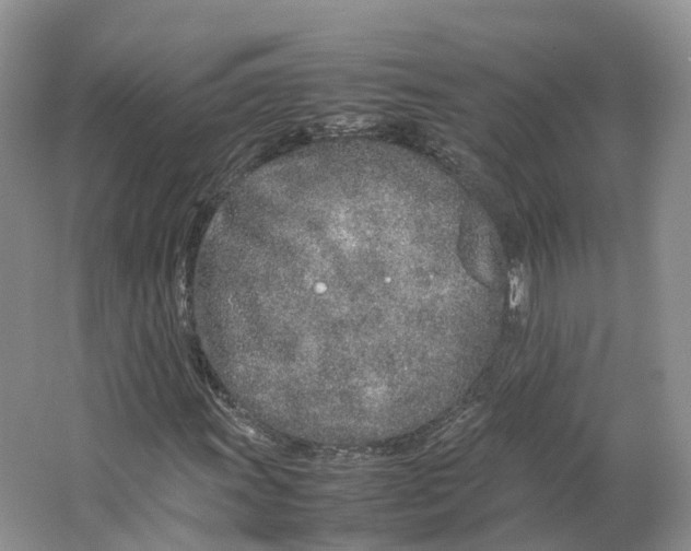 X0000064731011200602241710