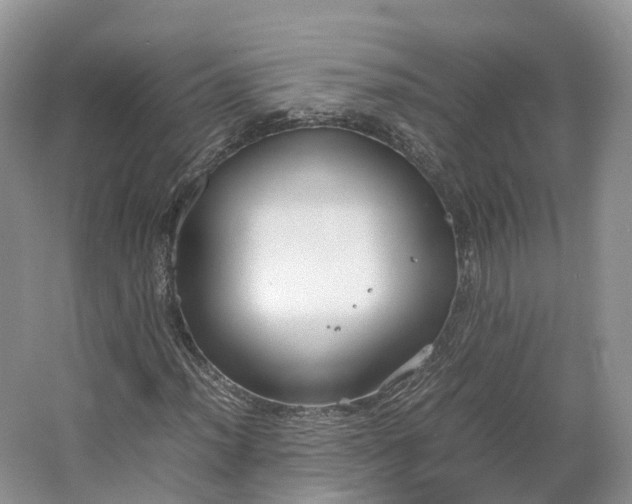 X0000064731012200602241710