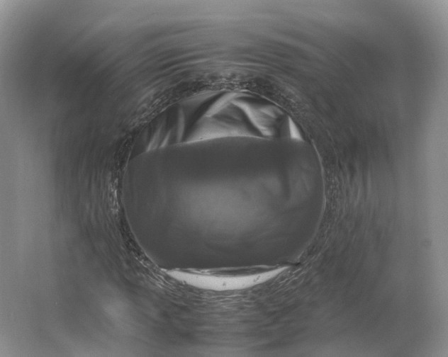 X0000064731013200602241710