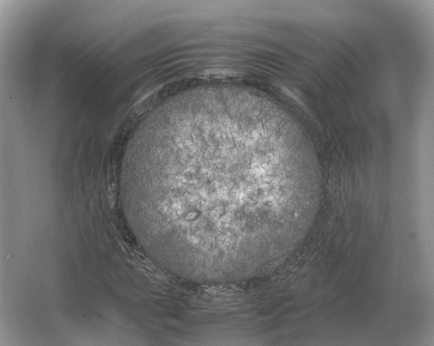 X0000064731015200602241710