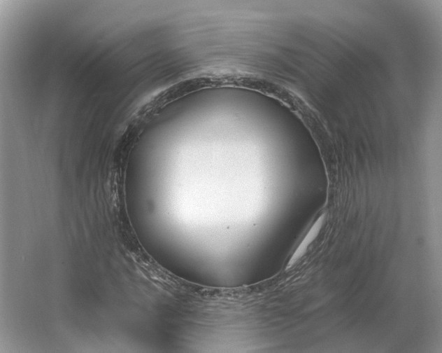 X0000064731016200602241710