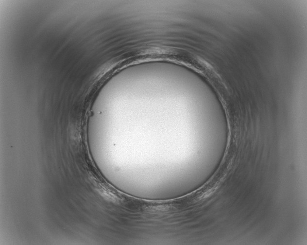 X0000064731017200602241710