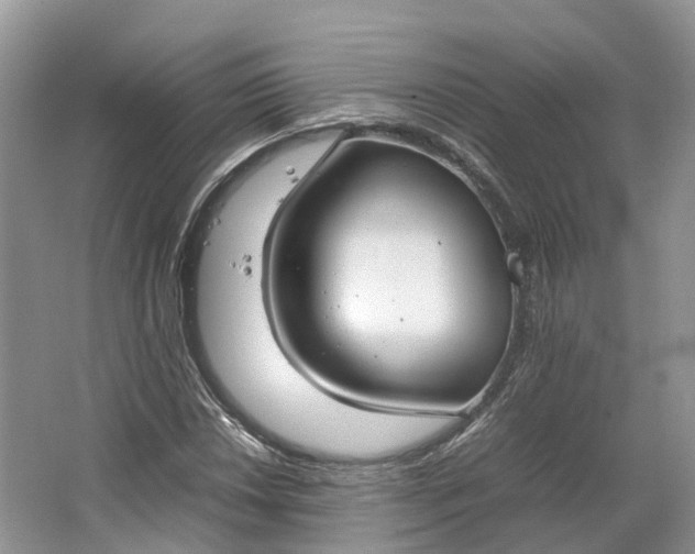 X0000064731018200602241710