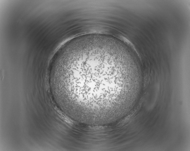 X0000064731019200602241710