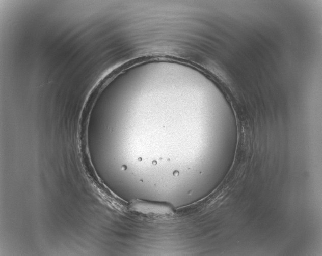 X0000064731020200602241710