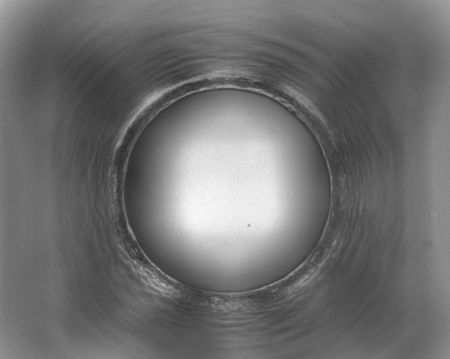 X0000064731021200602241710