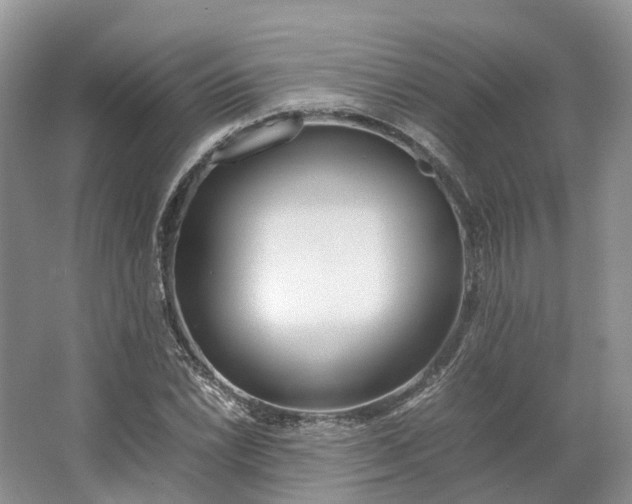 X0000064731022200602241710