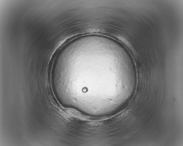 X0000064731023200602241710