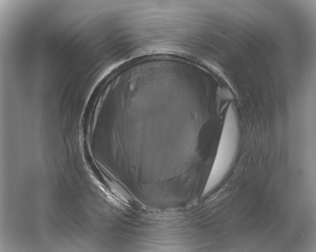 X0000064731024200602241710