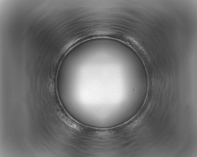 X0000064731025200602241710