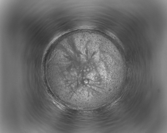 X0000064731027200602241710