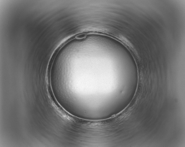 X0000064731028200602241710