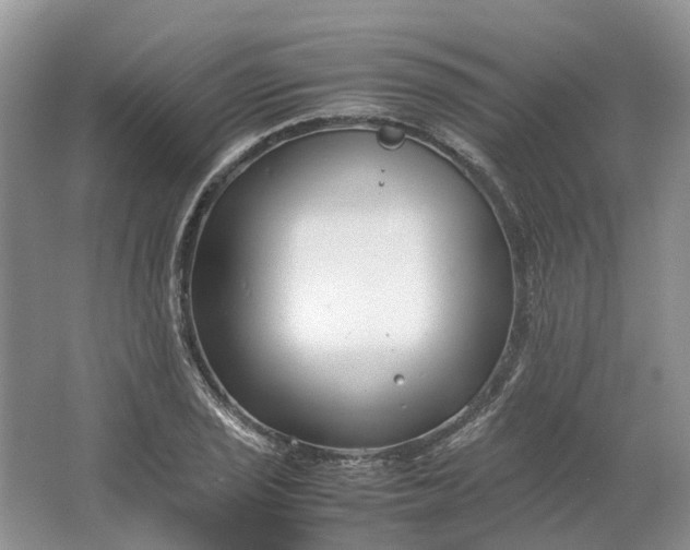 X0000064731029200602241710