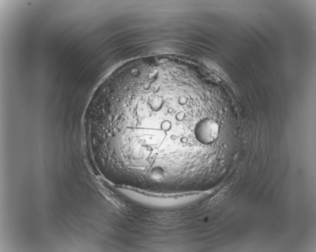 X0000064731031200602241710