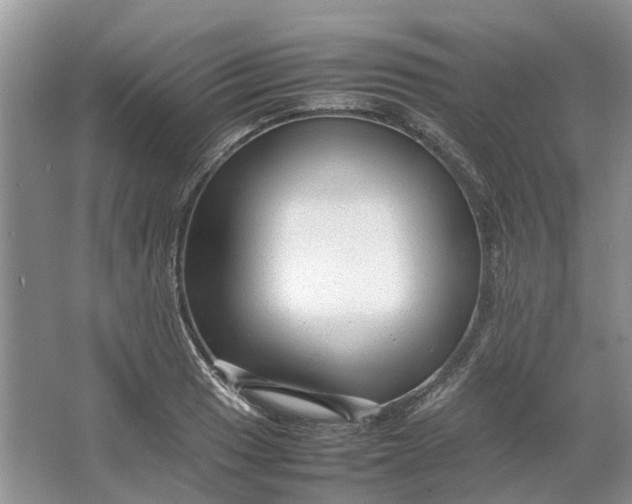 X0000064731033200602241710