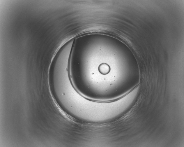 X0000064731034200602241710