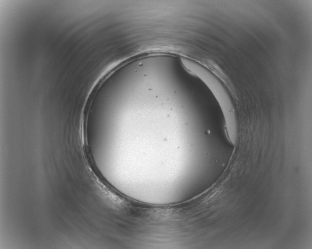 X0000064731036200602241710