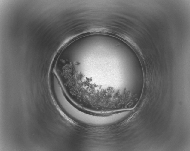 X0000064731037200602241710