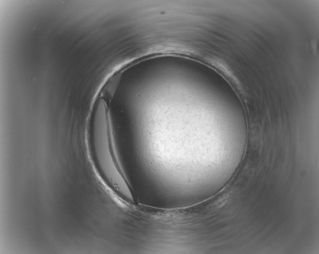 X0000064731040200602241710