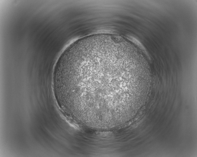 X0000064731043200602241710