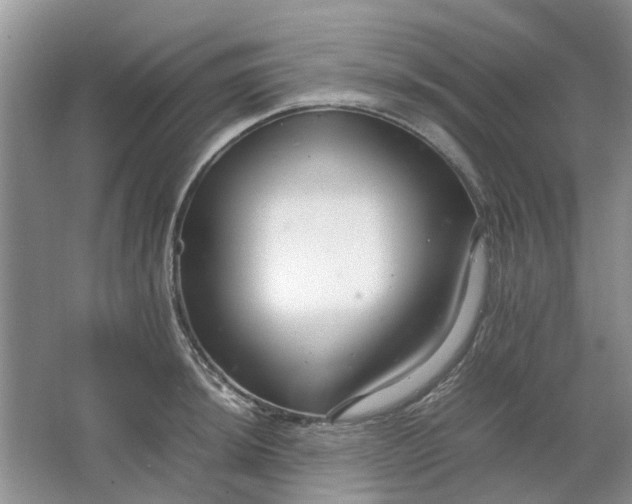 X0000064731044200602241710