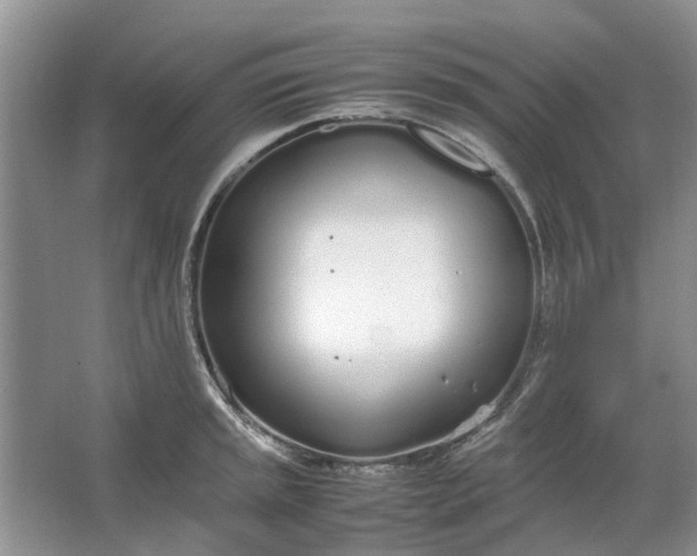 X0000064731045200602241710