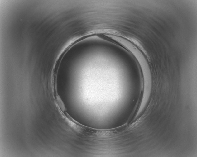 X0000064731046200602241710